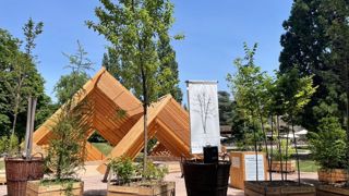 Certains arbres de l’essai substrats par la station Astredhor Est-Horticole ont trouvé place dans le parc de la Pépinière à Nancy (54), durant le colloque Embranchements. © Y. Haddad Certains arbres de l’essai substrats par la station Astredhor Est-Horticole ont trouvé place dans le parc de la Pépinière à Nancy (54), durant le colloque Embranchements. © Y. Haddad